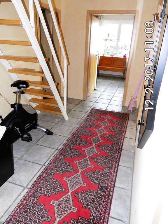 Sassenberg Ferienwohnung Im Gruenen מראה חיצוני תמונה